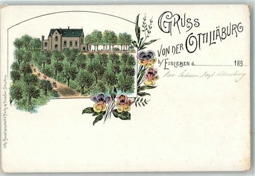 Lutherstadt Eisleben Vorläufer Ottiliäburg Stifmütterchen