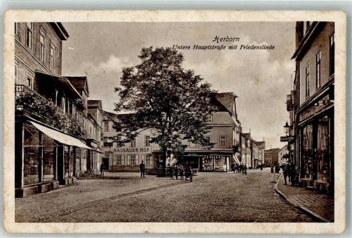 Herborn 1916 Untere Hauptstraße Friedenslinde Gasthaus Nassauer Hof