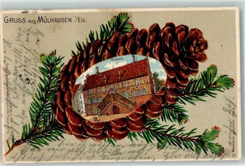 Mulhouse 1904 Rathaus Tannenzapfen Lithographie
