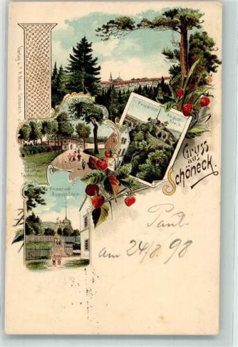 Schöneck 1899 Friedrich August-Stein Erdbeeren