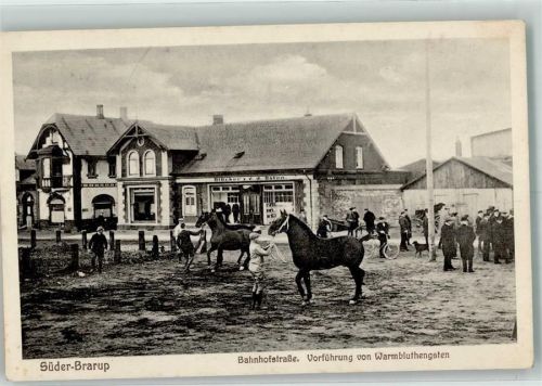 Süderbrarup Vorführung von Warmbluthengsten