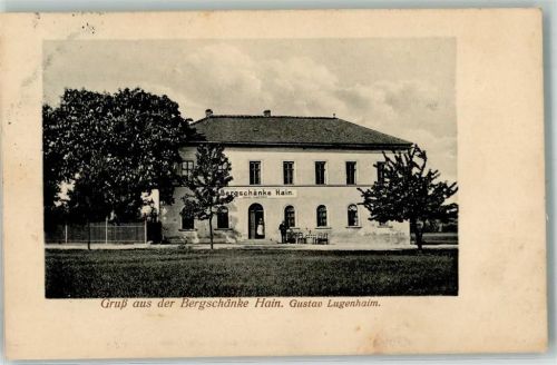 04571 O7209 Rötha 1913 - Gasthaus Bergschänke Hain Gustav Lugenhaim Ort lt. Stempel