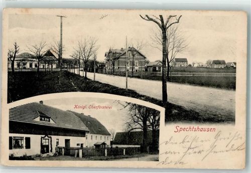 Spechtshausen 1906 Kgl. Oberförsterei Dorfstraße