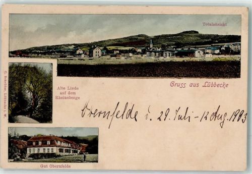 32312 W4990 Lübbecke , Westf - Gut Obernfelde Alte Linde