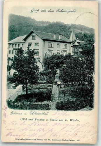Schönau 1900 Hotel zur Sonne