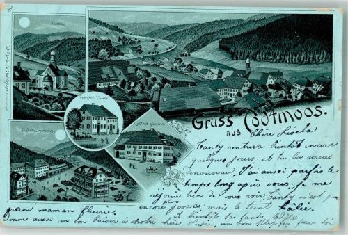 79682 W7865 Todtmoos 1900 Lithographie Gasthaus zum Löwen Pension Löwen Kurhaus Mondschein