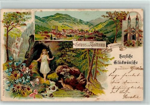 Todtnau 1900 Wiesenthal Gesamtansicht Mädchen Reh Blumen