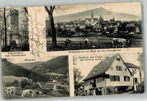 Strümpfelbrunn Katzenbuckelturm Höllengrund Kühe Gasthaus zum Löwen