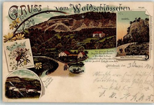Bleicherode 1908 Gruss vom Waldschlösschen Kanzel Bleichthal Verandabild Bahnpost