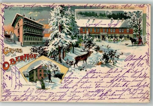 Oberhof 1902 Jagdschlößchen Pension Holland Gasthaus Holland Hirsch