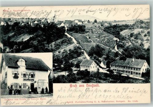 Neustadt 1904 Mühle Pappdeckelfabrik Gasthaus zum Ochsen