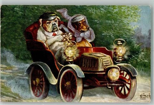 Automobil Hunde Dackel vermenschlicht