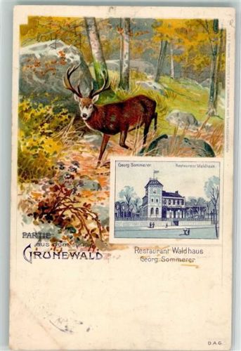 Grunewald 1904 Hirsch Gasthaus Waldhaus