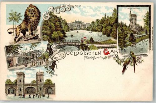 W6000 Frankfurt am Main Gruss aus Bärenzwinger Affenhaus Aussichtsturm Zoo 1899 Lithographie / Künstlerkarte