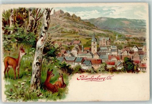 Bad Blankenburg Rehe Birke