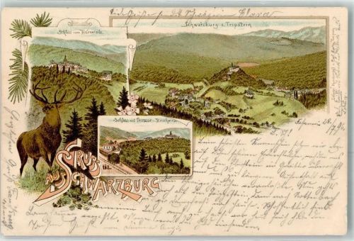 Schwarzburg 1896 Tripstein Schloss vom Helenensitz Terrasse Hirschwiese Hirsch Gruss