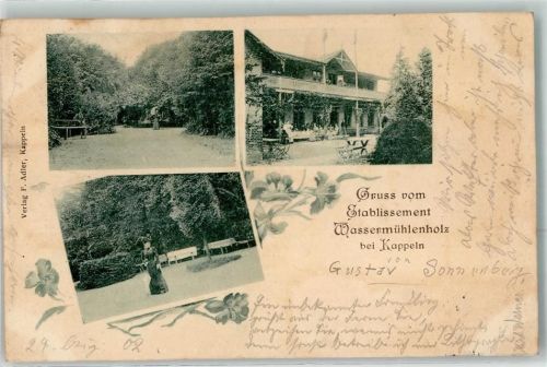 24376 W2340 Kappeln , Schlei 1902 - Gruss vom Etablissement Wassermühlenholz Frau