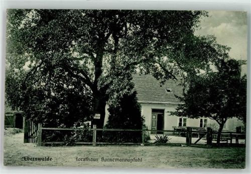 Eberswalde 1916 Forsthaus Bornemannspfuhl Stempel Vereins-Lazarett