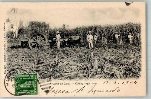 Havanna 1904 Zuckerrohrernte Briefmarke Bildseite