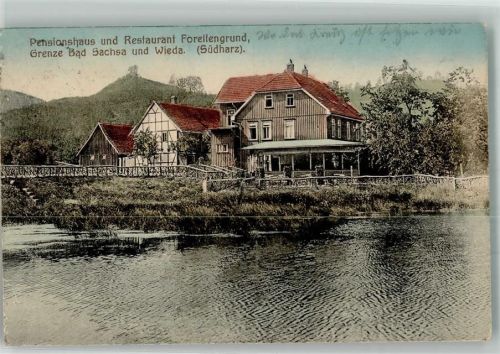 Bad Sachsa 1919 Pensionshaus u. Gasthaus Forellengrund Grenze Wieda