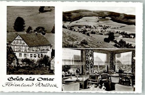 34519 W3543 Ottlar - Gasthaus Pension Ottonenhof Kühe