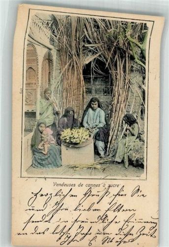 Kairo 1903 Tracht Zuckerrohr