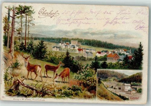 Oberhof 1899 Panorama des Ortes mit Bahnhof Jagdtiere Verlag Wezel & Naumann 12