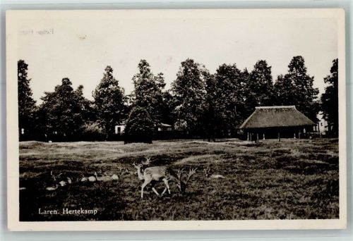 Laren 1953 Hertempamp Rehe Hirsche