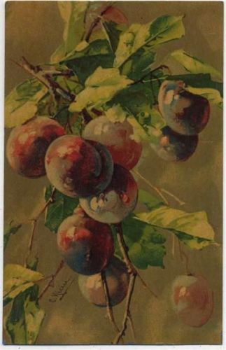 1918 Pflaumen, No. 530,WENAU-POSTKARTE,sign. C. Klein