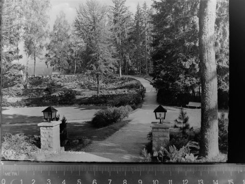 Bad Sachsa Im Kurpark