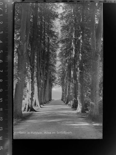 Eutin Allee im Schlosspark