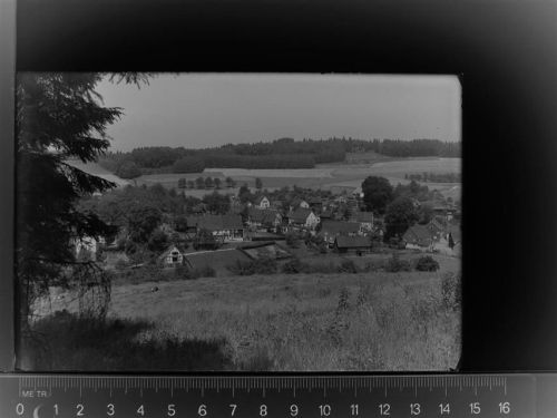 51766 W5250 Wallefeld GLASNEGATIV