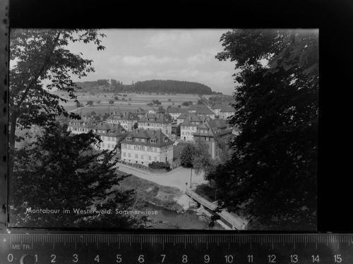 56410 W5430 Montabaur GLASNEGATIV Sommerwiese