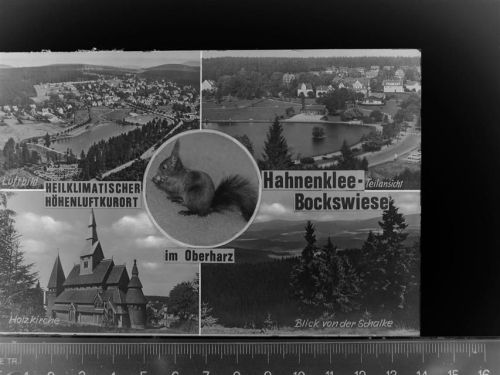 Hahnenklee Bockswiese