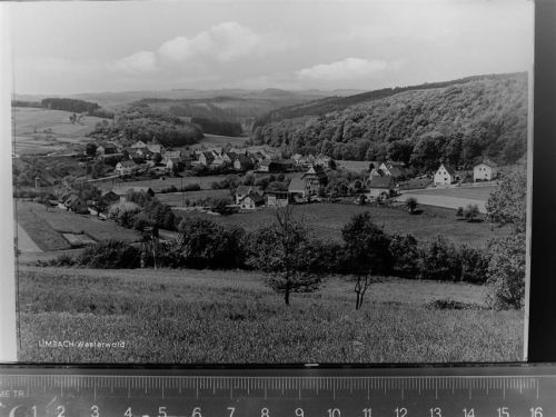 Limbach