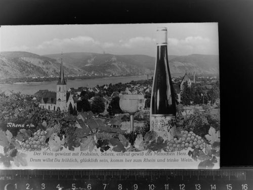Rhens Wein