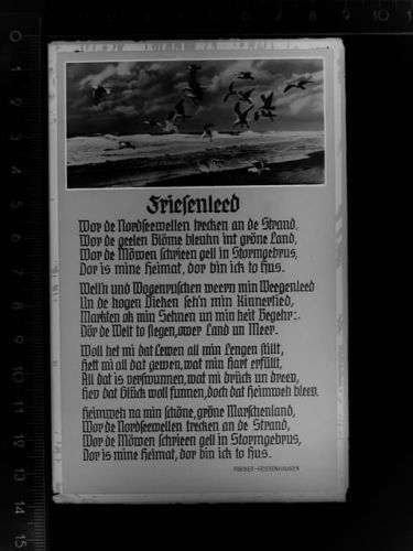 Cuxhaven Friesenleed