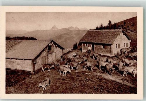 Ausgang Incavo Gravure Brunner u. Co. Nr.6