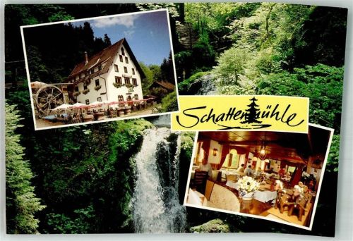 Löffingen Schwarzwaldgasthof Schattenmühle Gasthaus Rad Gastraum Wasserfall Wutachschlucht