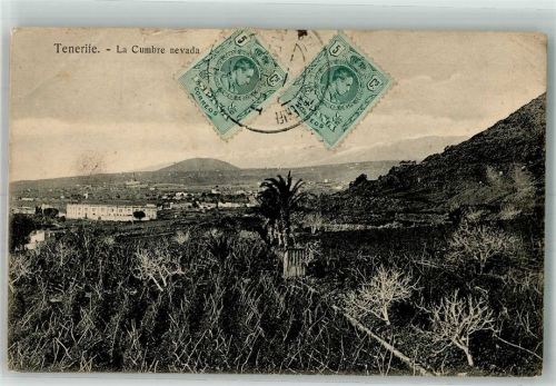 Santa Cruz 1913 La Cumbre nevada Marke bildseitig