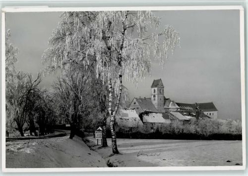 Bad Buchau Winter