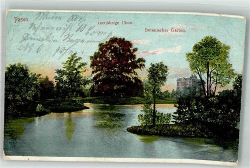 Posen 1911 Botanischer Garten