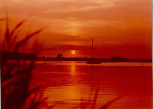 Maasholm Sonnenuntergang