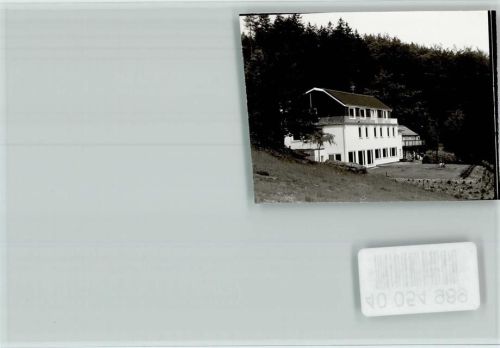 Lüthorst Pension Waldwiese