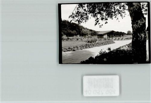 23746 W2436 Kellenhusen (Ostsee) FOTO KEINE AK Ferienhäuser am Walde