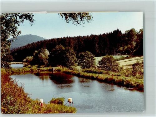 Ippinghausen Fischteich
