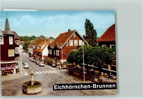 Braunlage Eichhörnchen Brunnen