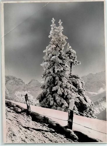 Frohe Weihnachten