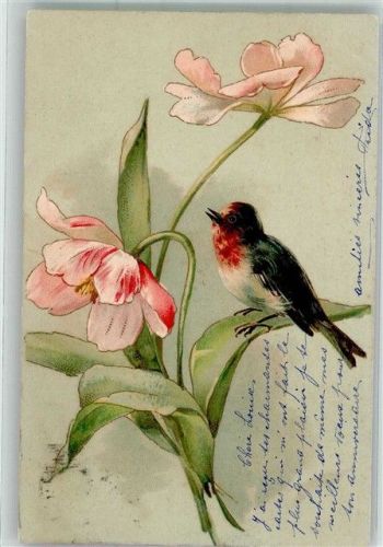 1903 Tulpe Trade Kopal Mark 292