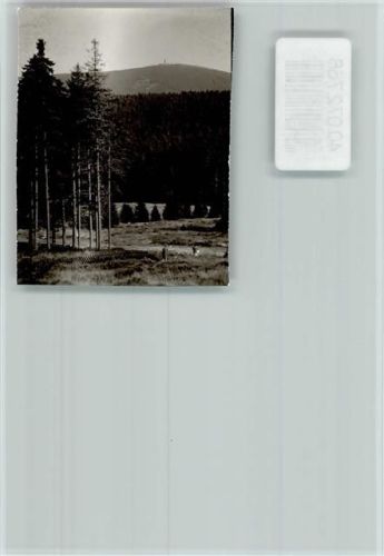 Torfhaus Tannenwald